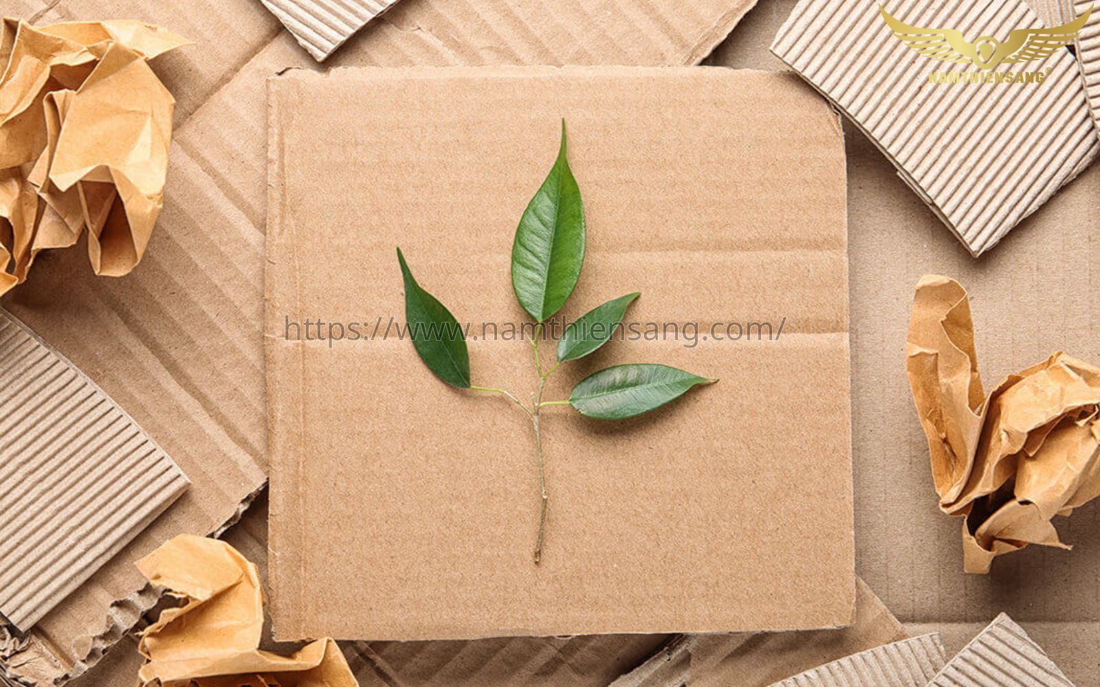 quy-chuan-bao-ve-moi-truong-cua-bao-bi