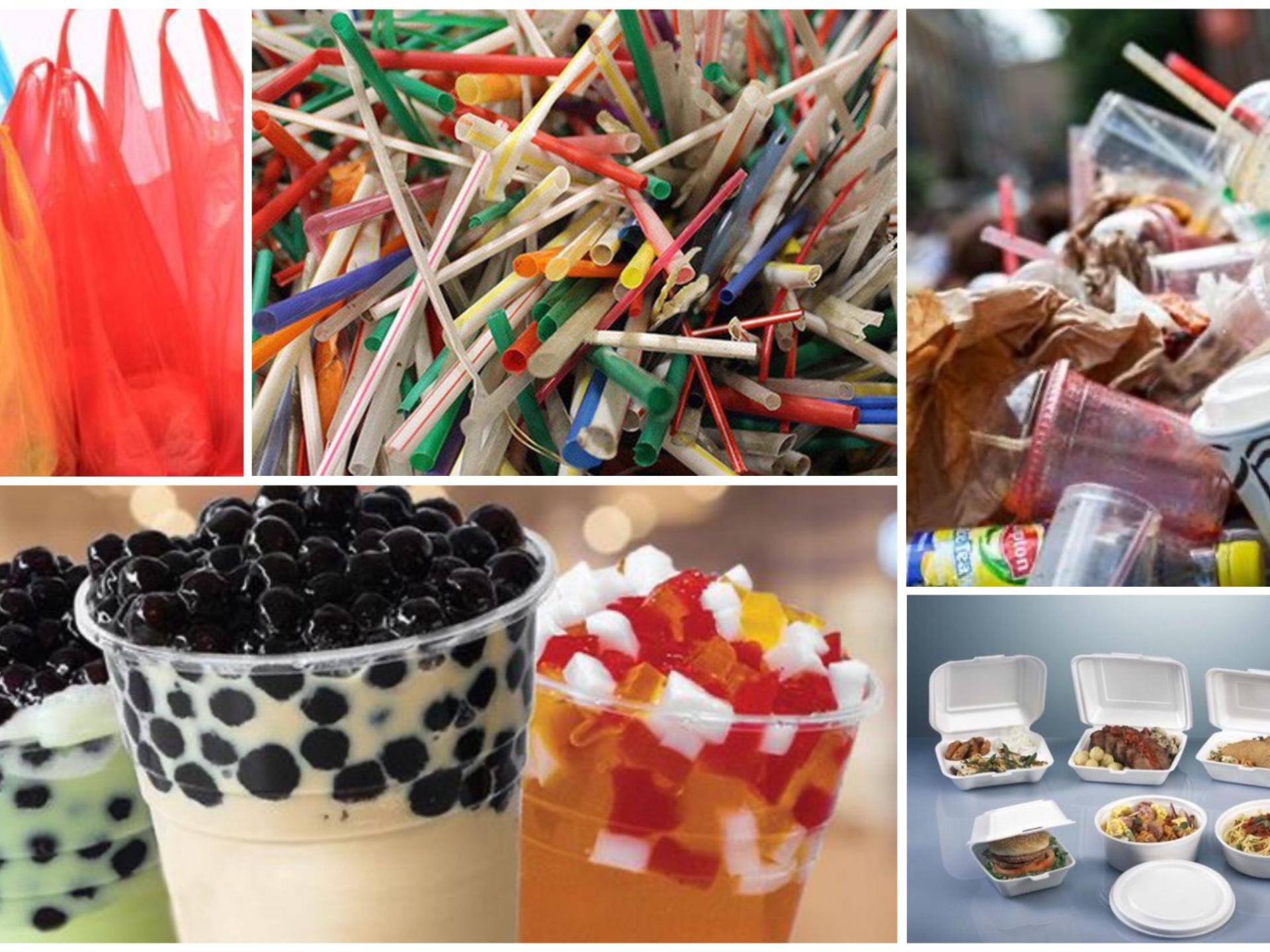 Bao Bì Nhựa Sử Dụng 1 lần