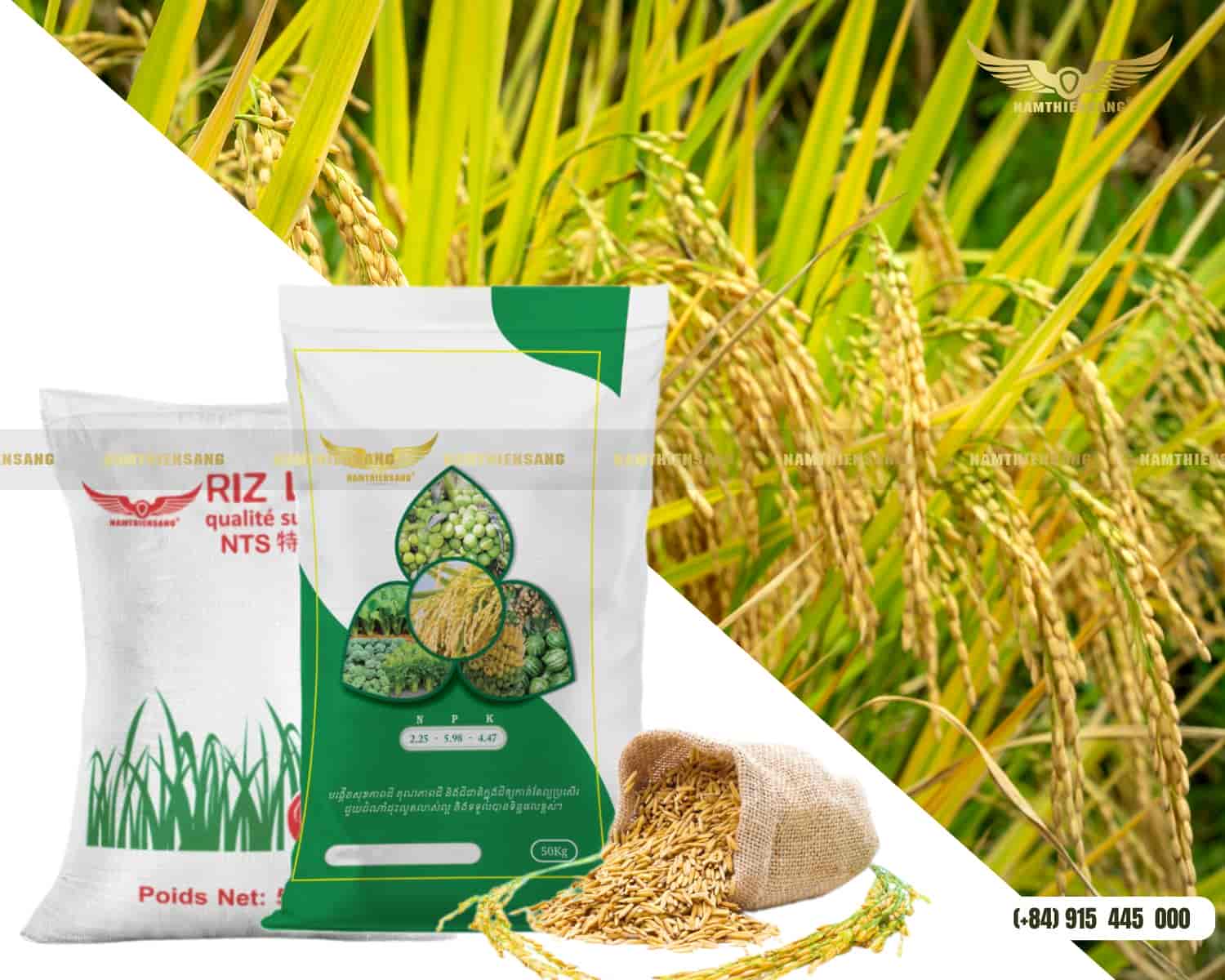 Sản Xuất In Ấn Bao Bì Lúa Giống, Bao Bì Lúa Gạo, Giá Tốt HCM