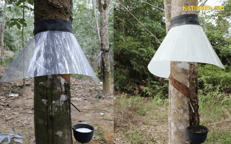 máng che mưa cao su