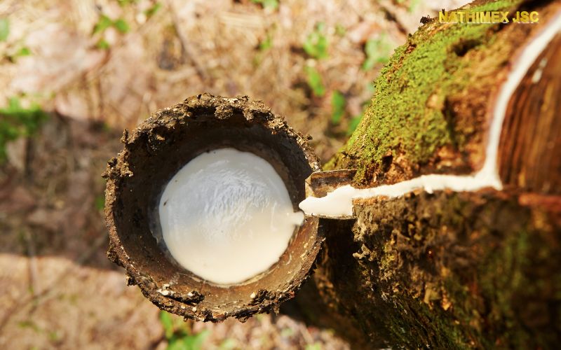 Lợi ích của việc sử dụng máng che mưa cây cao su