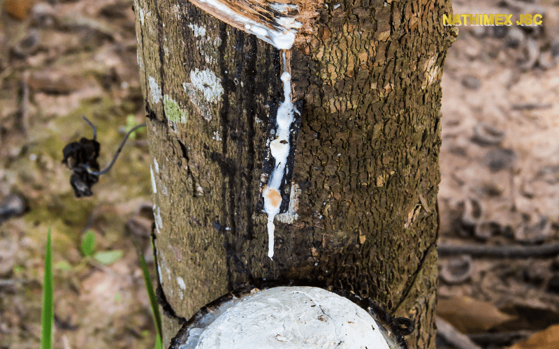 Lợi ích của việc sử dụng máng che mưa cao su