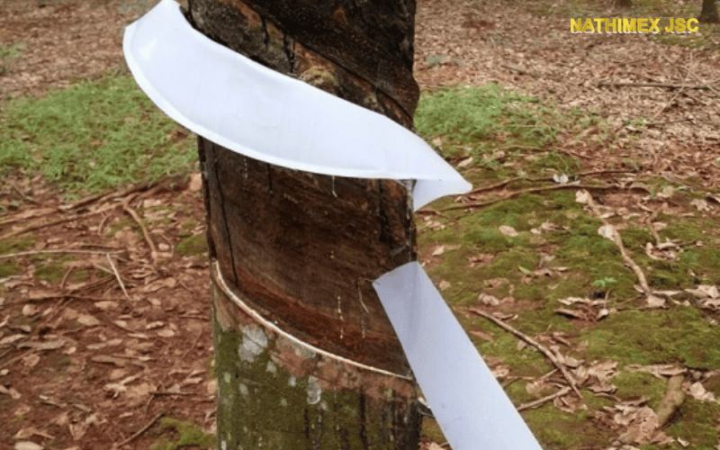 Các lưu ý khi chọn máng che mưa cao su